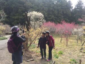 静岡 サイクリング