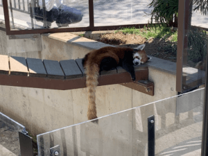 旭山動物園