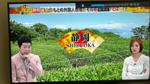 ニッポン観光