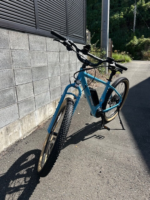 e-bike e-edit275